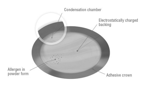 The Viaskin peanut allergy treatment uses a small adhesive patch