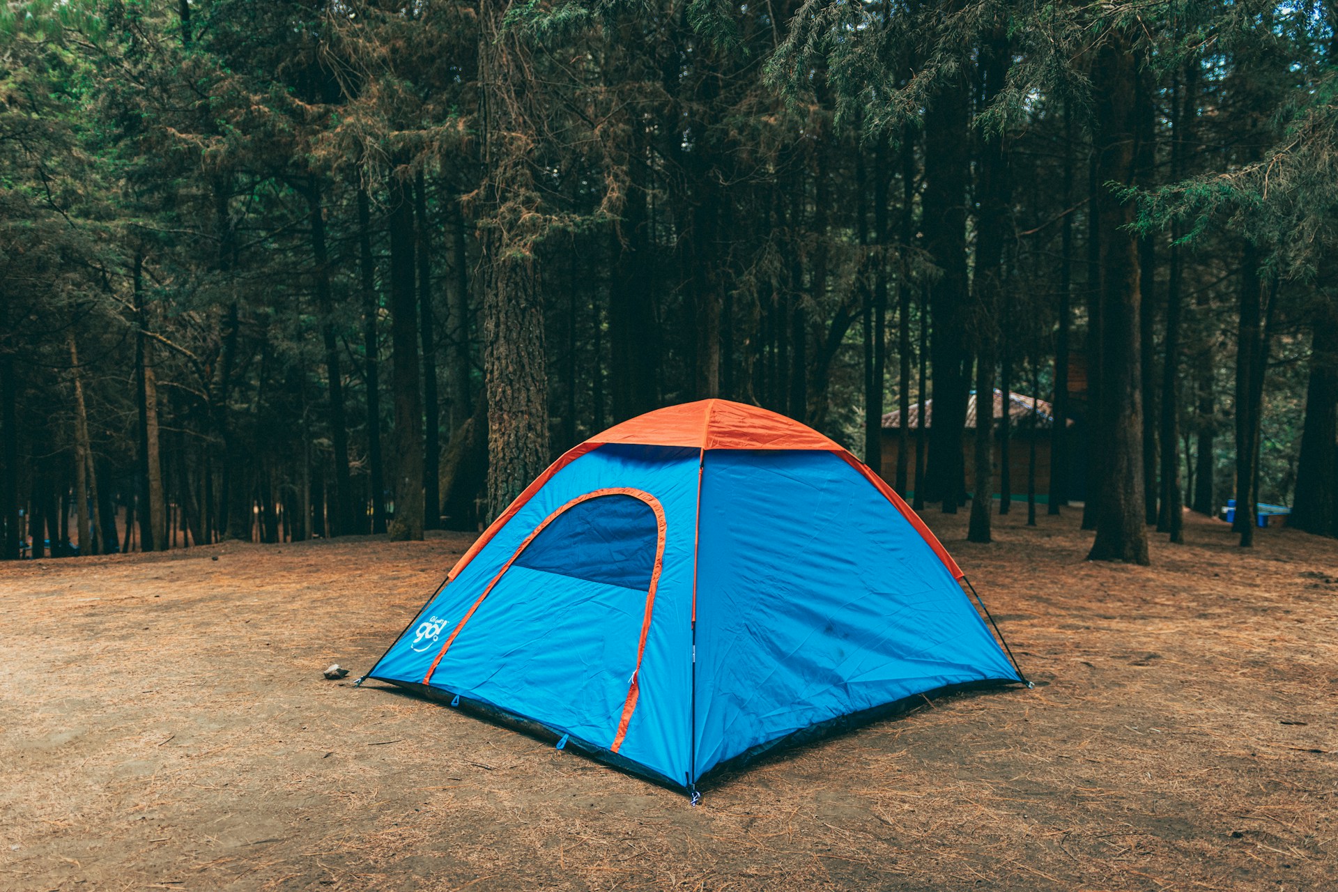 Quelques conseils pour préparer un prochain camping sauvage